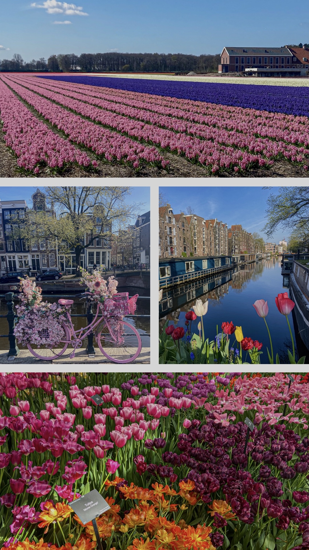 Marcus in Budapest (Season V.I) – Amsterdam 3